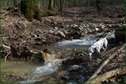 0_e0278_e2c2b1c1_orig.png