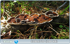 0_fc300_f6b173da_orig.png