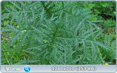 0_fd860_673e3b05_orig.png