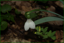 0_e0a27_7f845357_orig.png