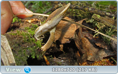 0_fc426_f25116ae_orig.png