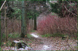 0_112bed_dd667470_orig.png