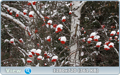 0_fb54b_d091df33_orig.png