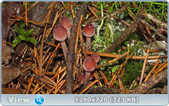 0_ea8dd_3852002_orig.png