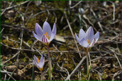 0_e0149_ad7d6003_orig.png