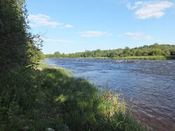 0_9778e_5c860296_M.jpg