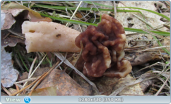 0_e2499_b6b43597_orig.png