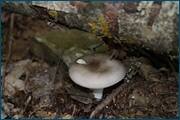 0_d0cdd_17d31840_orig.jpg