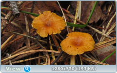 0_eb007_d7eb0e03_orig.png