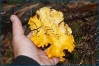 0_d5e33_f9eca513_orig.jpg