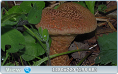 0_fb884_eb562da0_orig.png