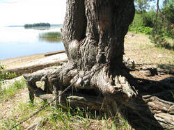 0_9c77b_50510db1_M.jpg