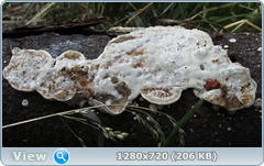 0_e9507_5fdad860_orig.png