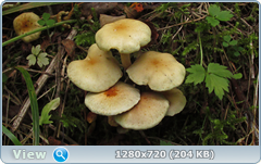 0_ef6ad_e9acb595_orig.png