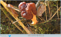 0_e2470_a0c452fa_orig.png