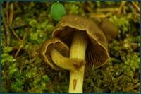 0_cd5fd_9d2ad011_orig.jpg
