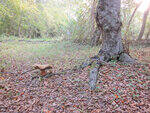 0_6db1c_7254f2e8_S.jpg