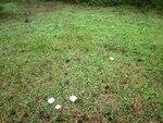 0_7070b_137094ba_S.jpg