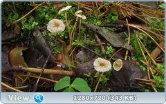 0_e6d05_3ede71c5_orig.png