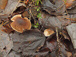 0_a2041_d41c4291_S.jpg