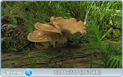 0_e6bad_86540185_orig.png