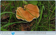 0_e6bb1_a8de99d_orig.png