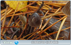 0_f27a8_1a10a01d_orig.png