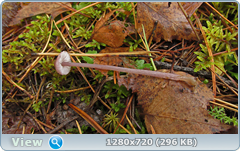0_f27b8_d7d477dd_orig.png