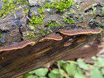 0_a202c_856b5ba_S.jpg