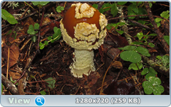 0_eb277_d9b290f_orig.png