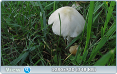 0_e6a18_b65bdd92_orig.png