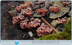 0_f5619_e450fe23_orig.png
