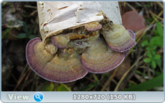 0_fc563_c0fa7302_orig.png