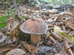 0_6ee13_bd6a379b_S.jpg