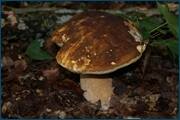 0_d2b1e_7d68e144_orig.jpg