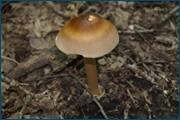 0_d2577_b0120059_orig.jpg
