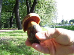 0_7fe89_cee73cf3_M.jpg