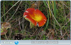 0_fbb36_ef677816_orig.png
