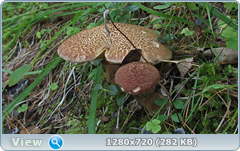 0_fb8a4_971301fd_orig.png
