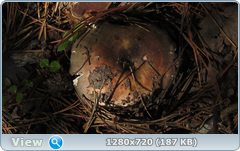 0_fbb42_c99e7098_orig.png