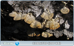 0_fc49b_396a1d65_orig.png