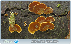 0_fc4b5_3d2ab7bc_orig.png