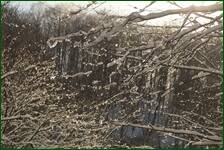 0_f1800_f451a095_orig.jpg