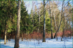 0_11623a_a220f5ea_orig.png