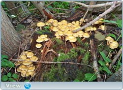 0_102db1_2b4e364a_orig.png