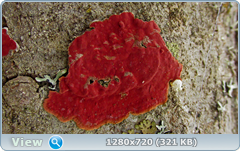 0_fa68e_a4939ba3_orig.png