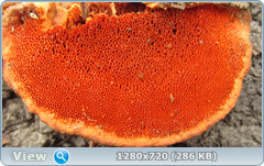 0_fc3fe_680bb8fe_orig.png