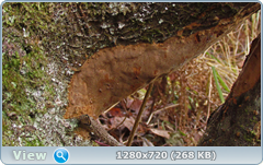 0_fc64c_7d15f33c_orig.png
