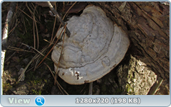 0_101342_37dc300b_orig.png