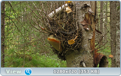 0_ef6b3_c061609d_orig.png